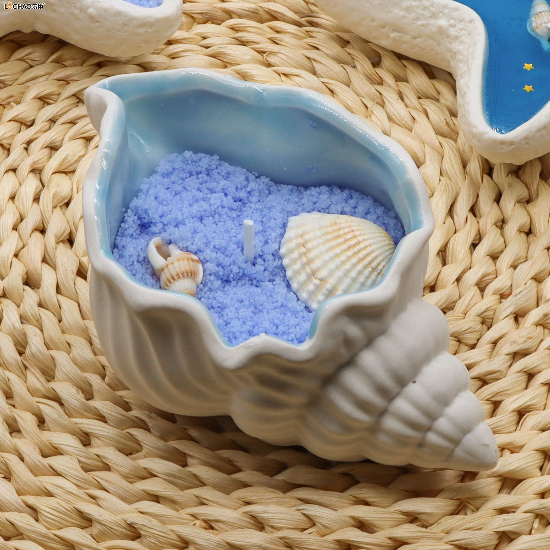 Particules Parfumées De Style Océan, De Fleur De Glace Colorée, De Coquillage, D'Étoile De Mer